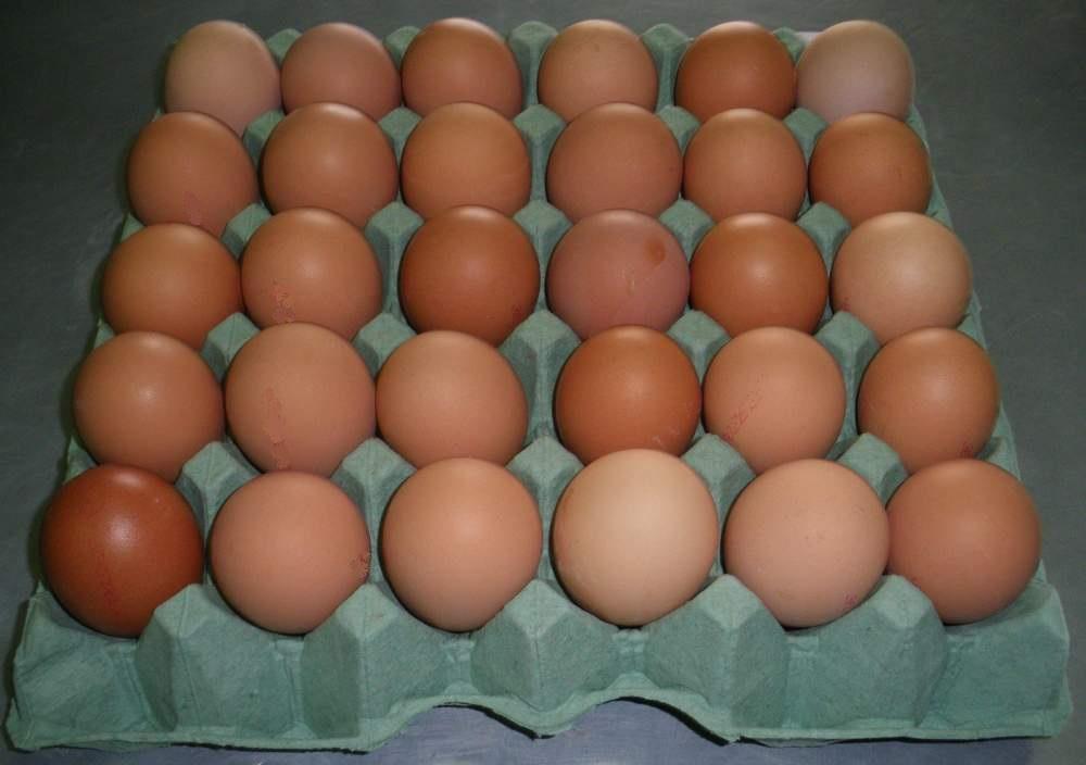 Где Купить Хорошие Яйца
