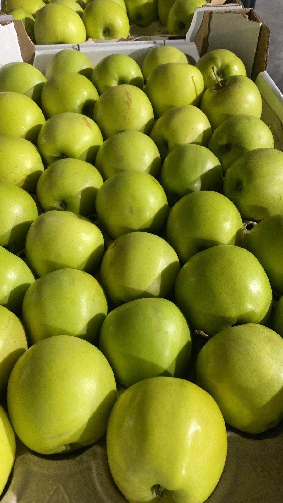 Производим и продаем яблоки. 500 тонн - фотография № 2